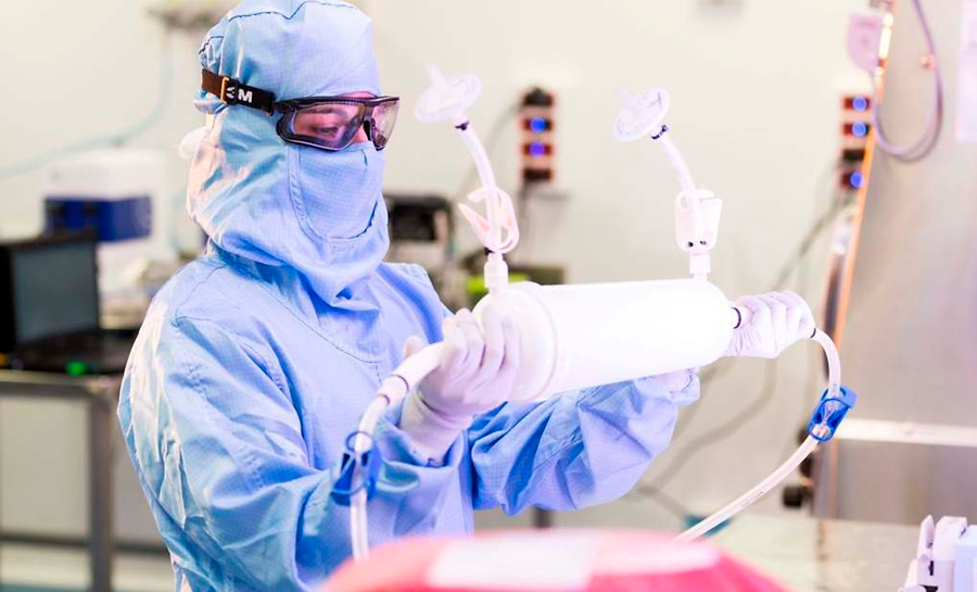 Vive-Biotech ViveBiotech